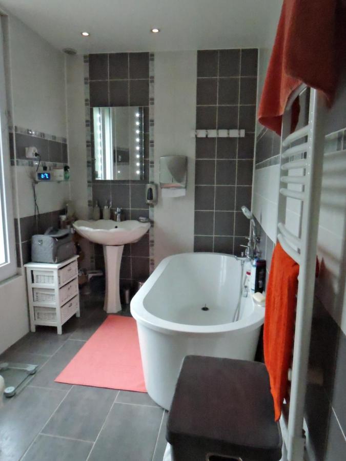 Les Pingouins De La Marne Bed & Breakfast Le Perreux-Sur-Marne Ngoại thất bức ảnh