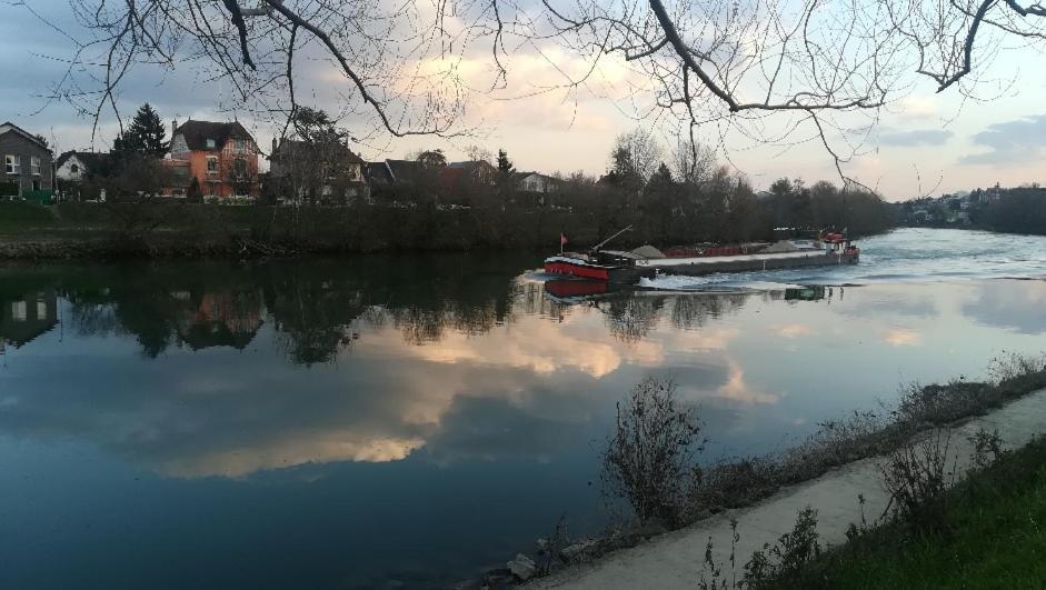 Les Pingouins De La Marne Bed & Breakfast Le Perreux-Sur-Marne Ngoại thất bức ảnh