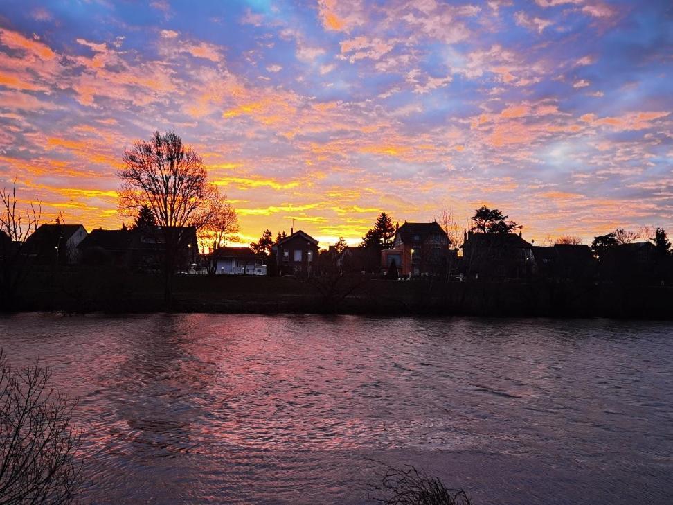 Les Pingouins De La Marne Bed & Breakfast Le Perreux-Sur-Marne Ngoại thất bức ảnh